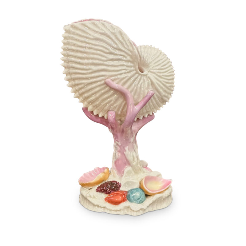 Royal Worcester nautilus shell vase