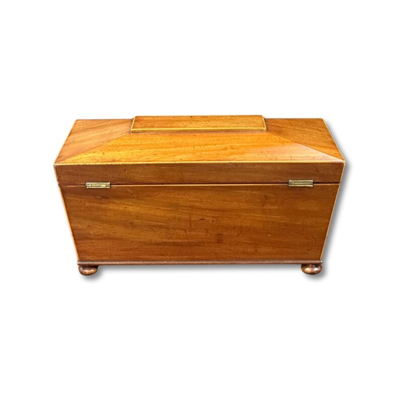 Sarcophagus box with satinwood inlays