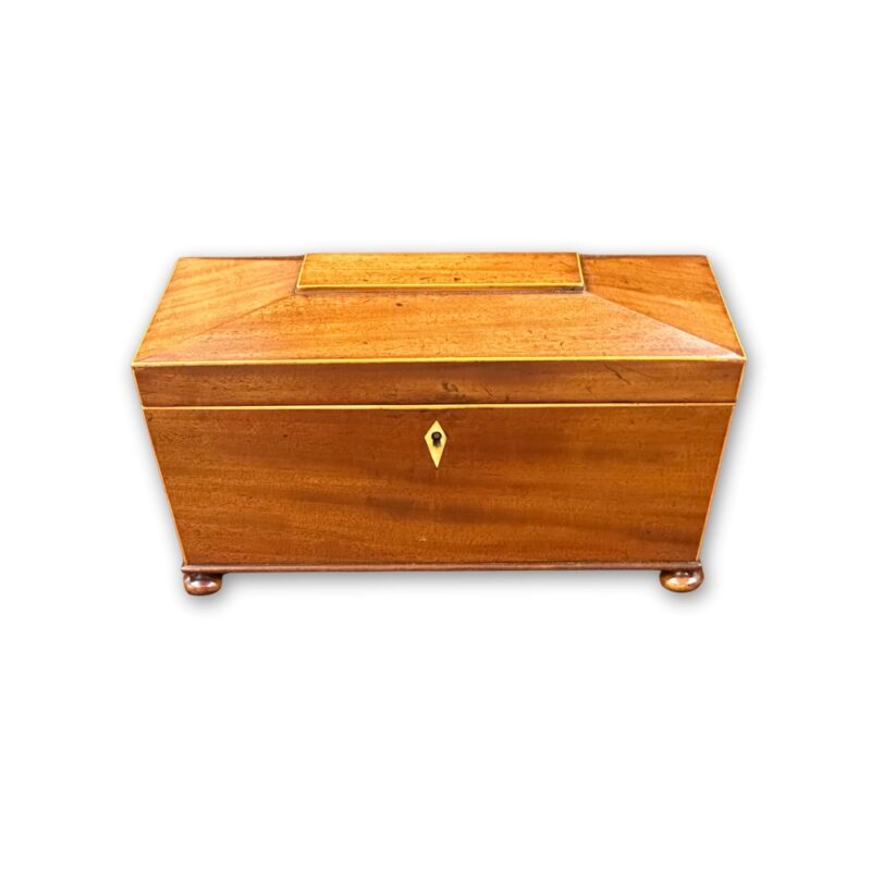 Sarcophagus box with satinwood inlays