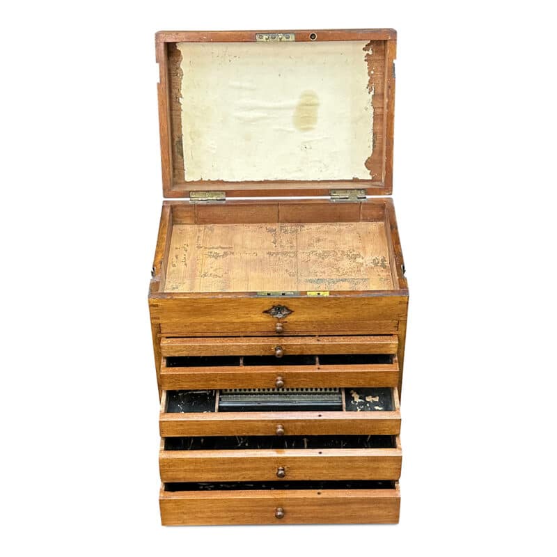 specimen box with drawers