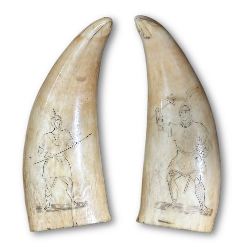 19th century sperm whale scrimshaw with engraved knight