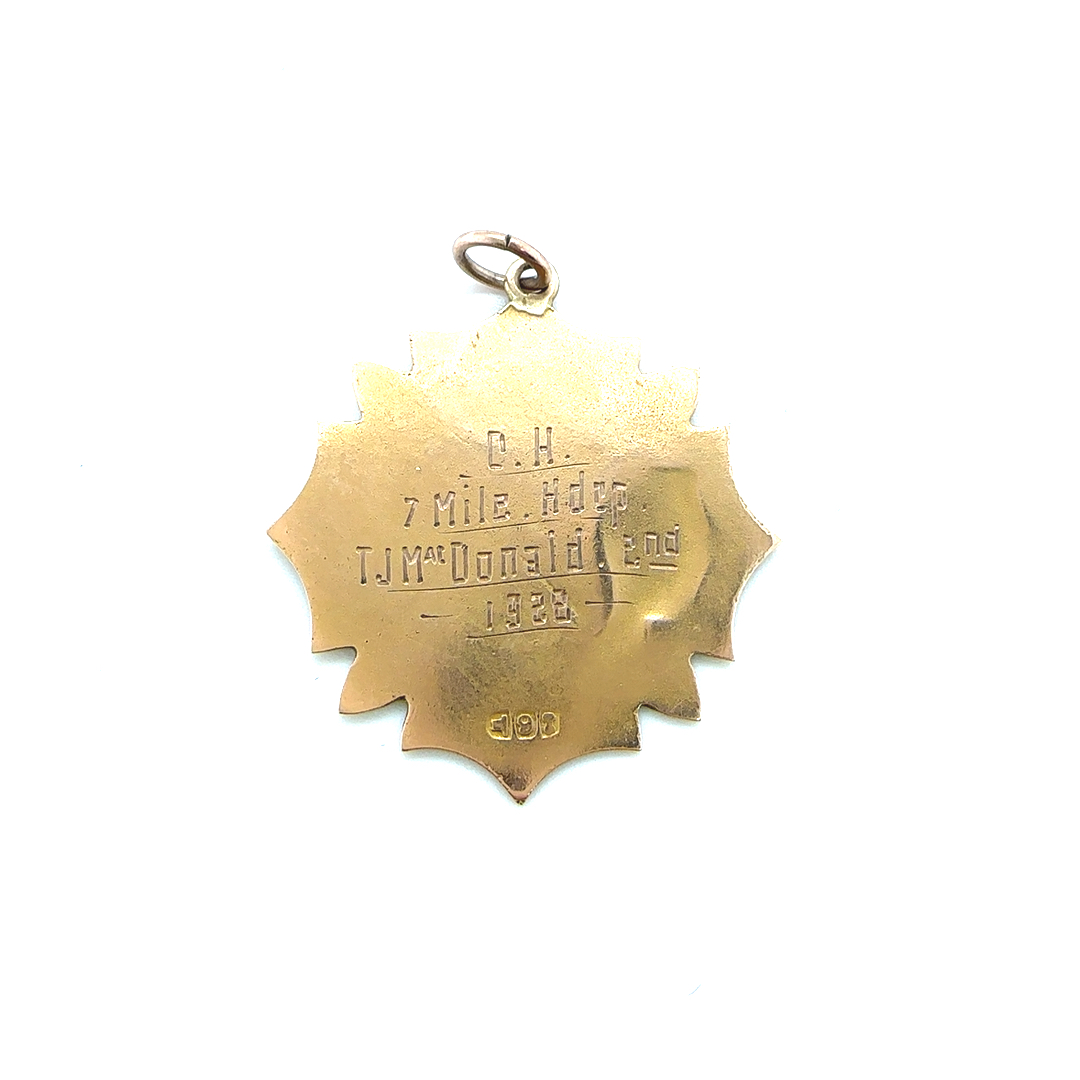 9ct gold medallion